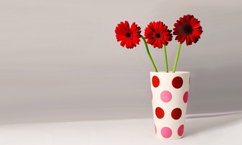 Simple red flowers hi resolution wallpapers