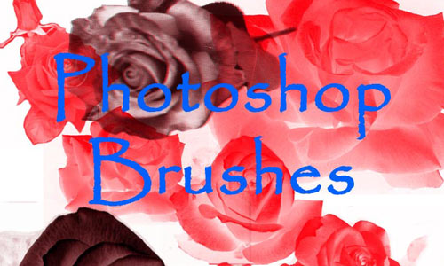 Photoshop ROSE brushes