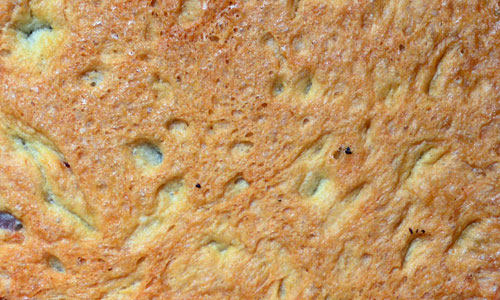 Brown free bread textures download