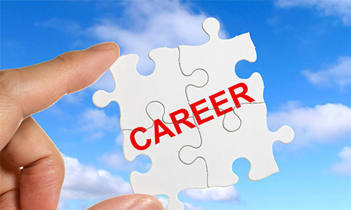 Seek new career opportunities