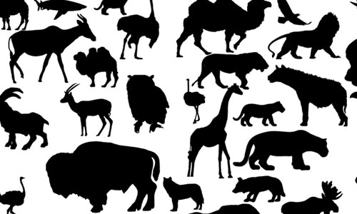 41 Animal Vector Silhouettes