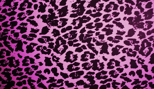 Pink leopard skin texture free download hi res high resolution