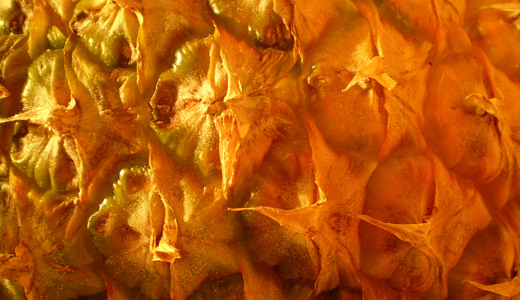 Pineapple macro close up 