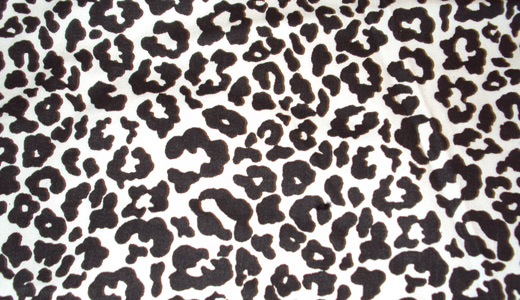White leopard skin texture free download hi res high resolution