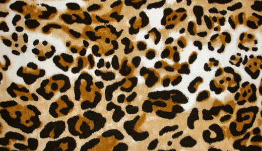 Fur leopard skin texture free download hi res high resolution