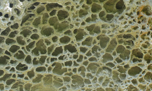 Orange maroon sponge textures free download hi res high resolution