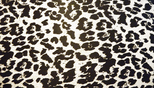 Awesome leopard skin texture free download hi res high resolution