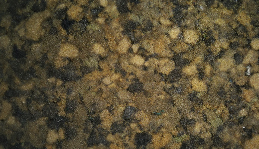 Brown sponge textures free download hi res high resolution