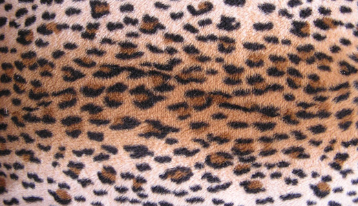 Animal fur leopard skin texture free download hi res high resolution