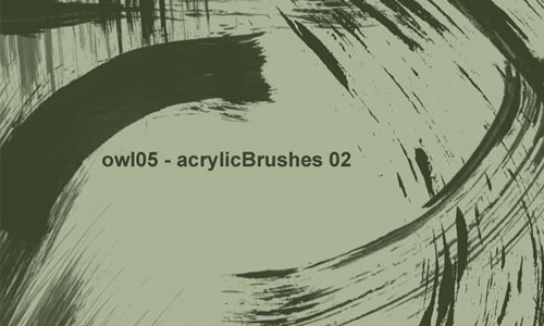 owl05 - acrylicBrushes 02