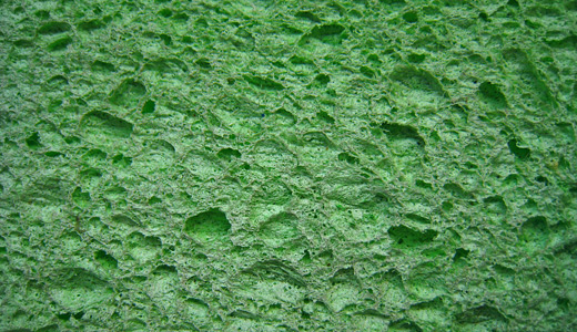 Green sponge textures free download hi res high resolution