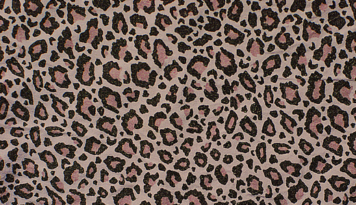 Print leopard skin texture free download hi res high resolution