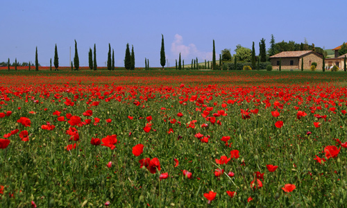 Tuscany