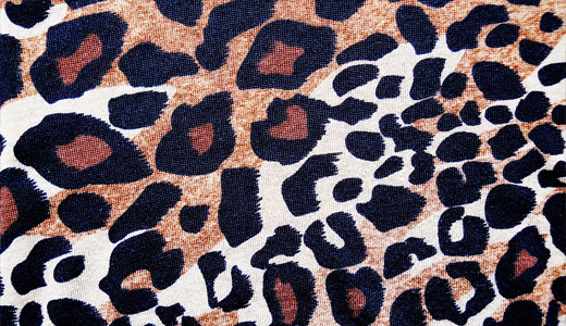 Fabric print leopard skin texture free download hi res high resolution