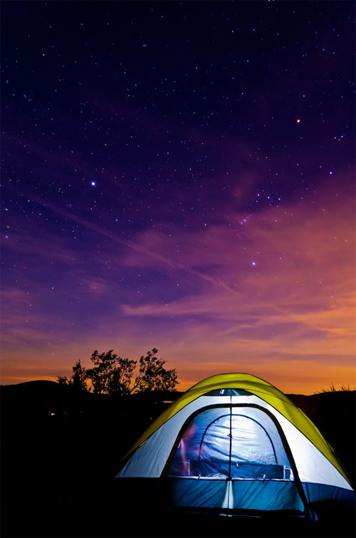 Joshua Tree Night Sky