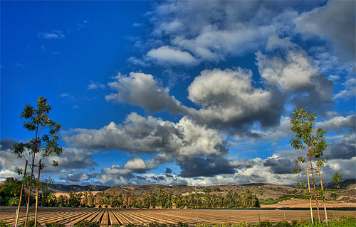 Puffy Clouds and Furrow Lines