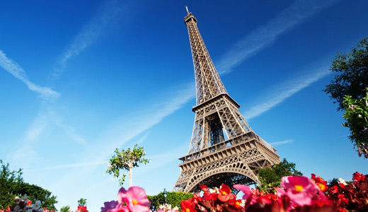 pink flowers eiffel tower wallpapers free download hi res