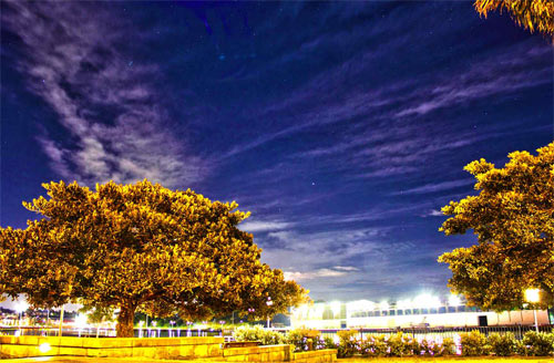 Tree and lights at night HDR