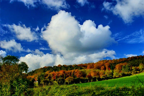 Autumn Cloud