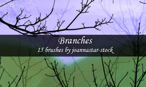 Branch Brushes