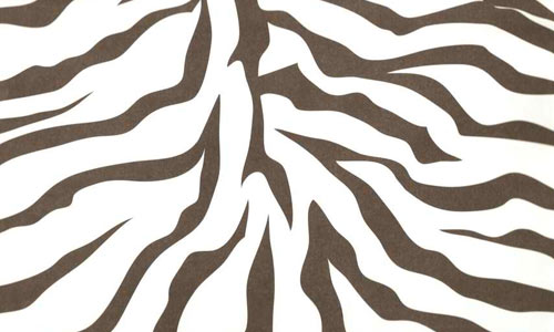 Zebra Print texture