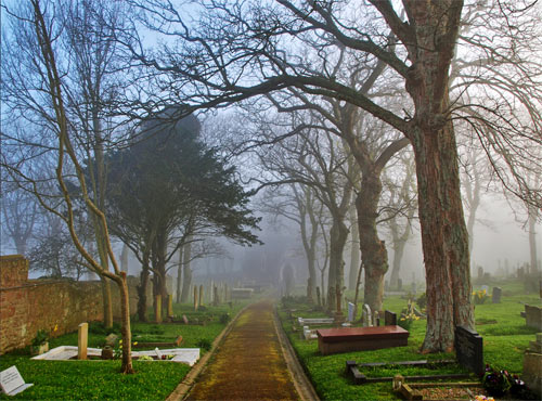 Foggy Path Through the Churchyard