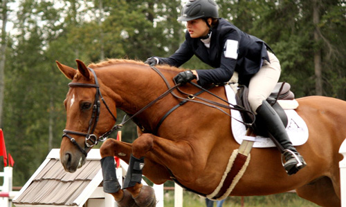 Horse Trials