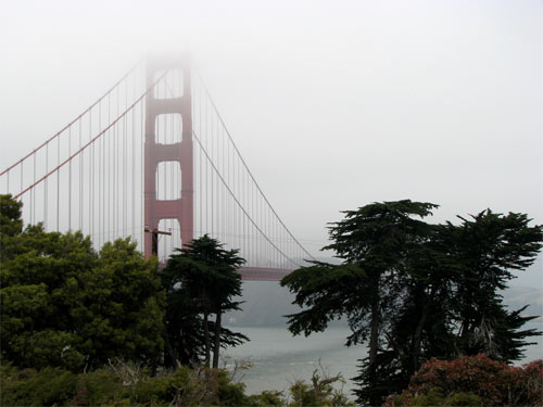 Foggy Day on the Bay