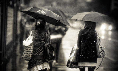 Umbrellas in the Rain