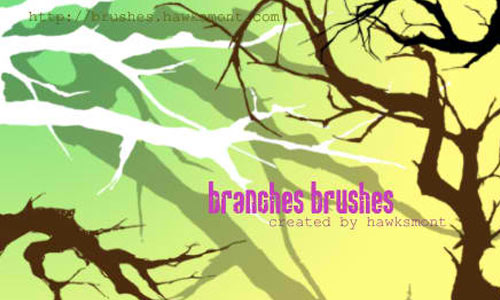 Branches brushes