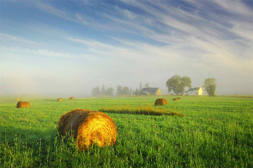 Foggy Morning in Laird Township