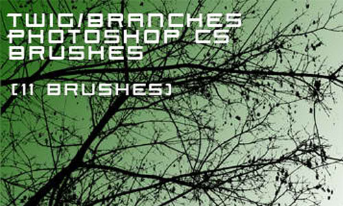 Branches brushes