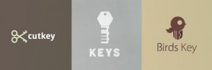25 Simple Yet Strong Key Logo Designs | Naldz Graphics