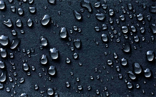 Water Drops wallpaper