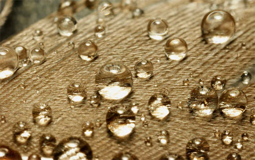 Raindrops on a Feather wallpaper