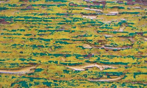 Wood painted old texture