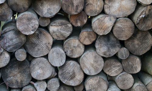 Wooden Logs texture