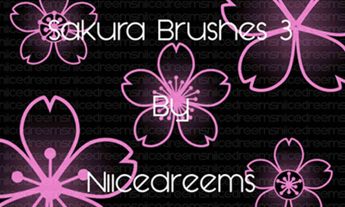 Sakura Brush Set 03