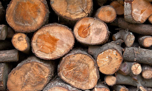 Wood Logs texture