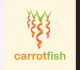 A 26 Crunchy Carrot Logo Designs Collection