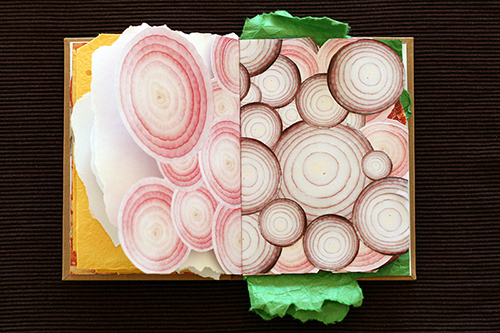 Sandwich Book Onions