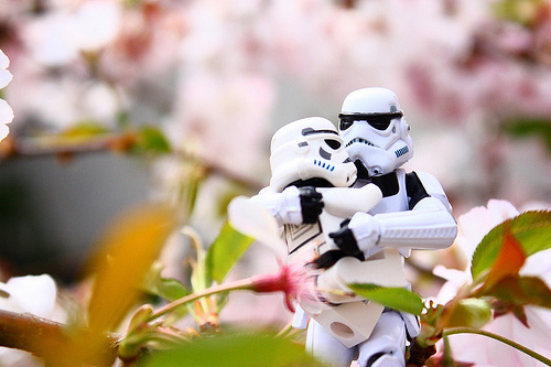 Cherry blossom stormtrooper