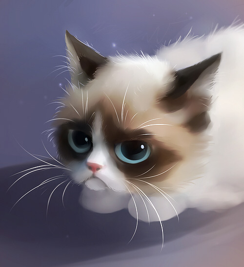 Grumpy cat illustration