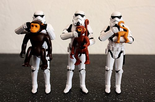 Monkey stormtrooper photogprahy