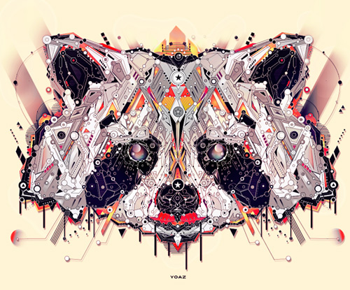 Raccoon animal shapes art yo az