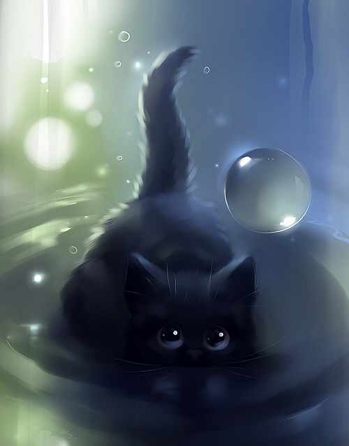 Black cat swimming