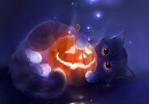 Pumpkin black cat