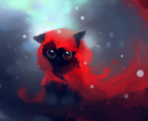 Red riding hood cat black