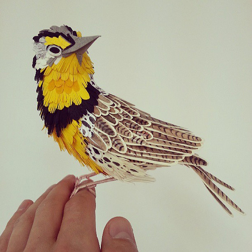 Western Meadowlark