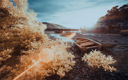 Yiu Yu Hoi Infrared Photography